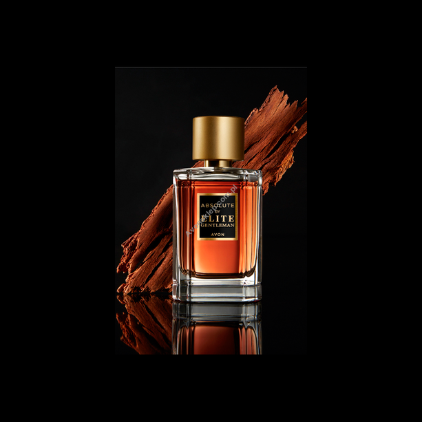 Absolute by Elite Gentleman - Woda toaletowa (50 ml)